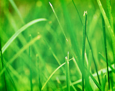 授权码代购的信息轰炸在线使用免费