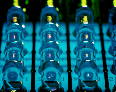 绿色无毒简单易用的轰炸电话在线使用